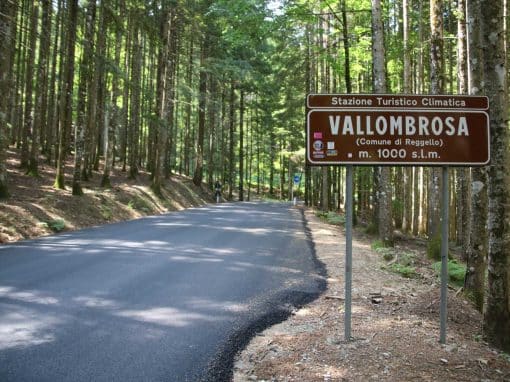 Vallombrosa